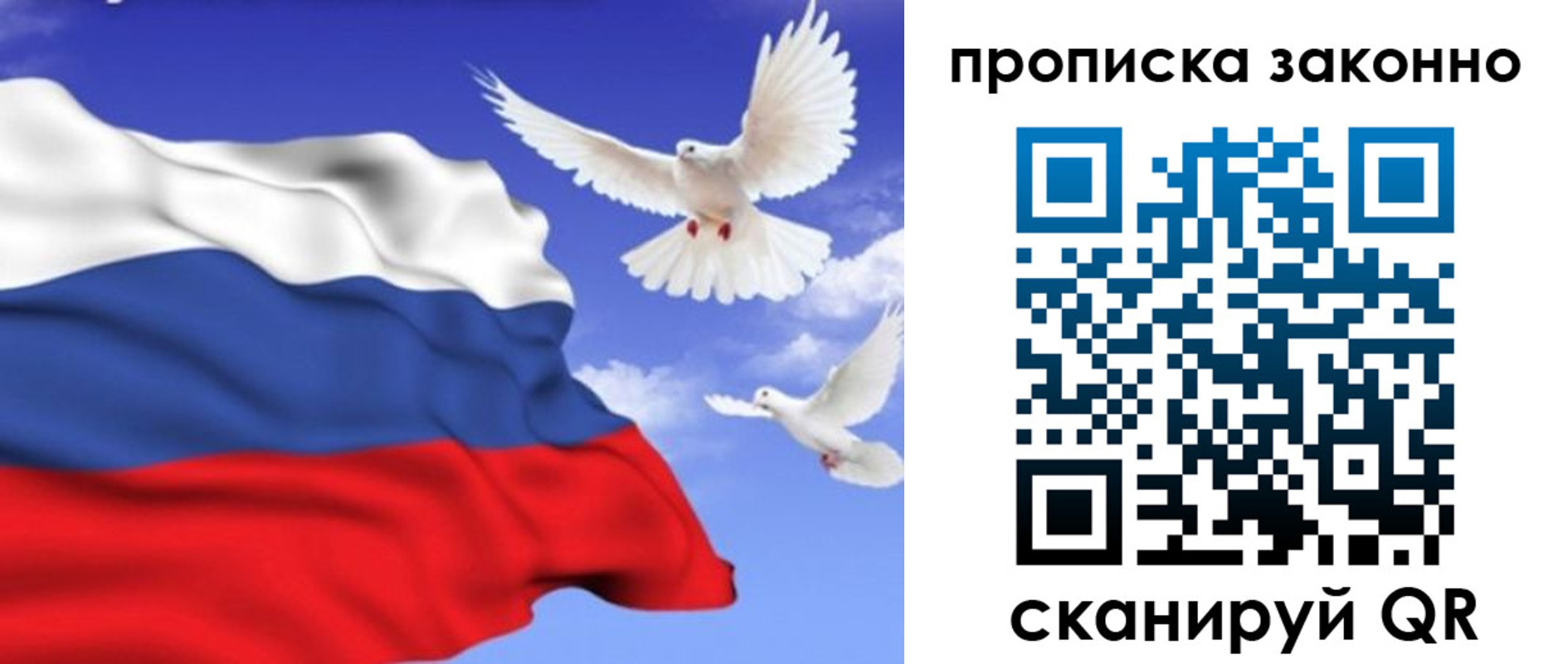 прописка в Курганинске